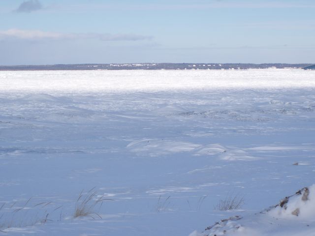 P1230078 [640x480].JPG